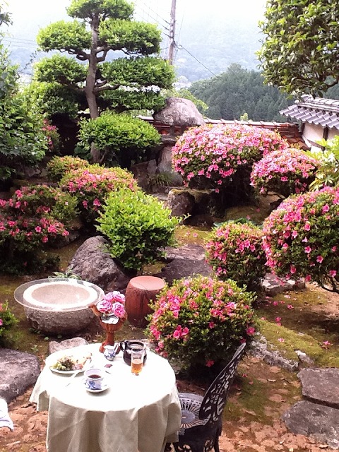 和田山の家では前栽 せんざい 和風の家の前の庭のこと にツツジが満開 スタジオドレッセ